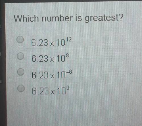 Which number is greatest?