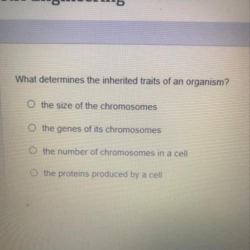What determines the inherited traits of an organism? The sizes of the chromosomes The genes of its c
