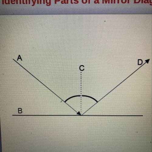 In the mirror diagram, which is the normal