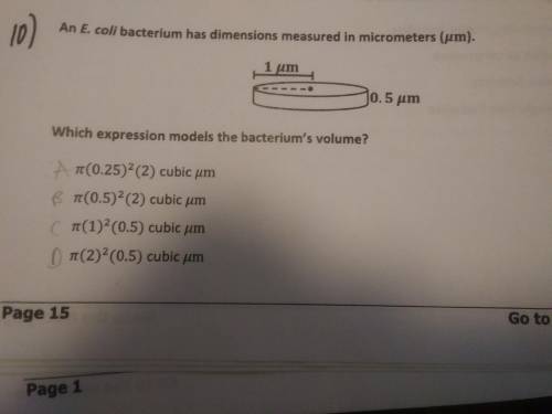 Need help please! Will give it to the brainliest. Which expression models the bacterium's volume? Pi
