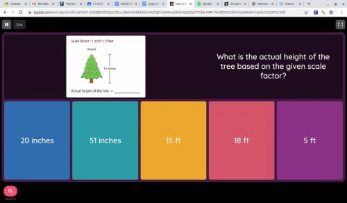What is the actual height of the tree based on the given scale factor?