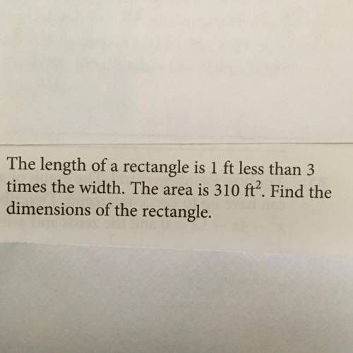 Find the dimensions of the rectangle.