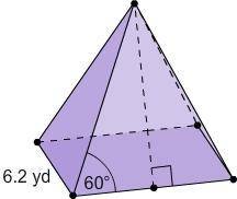 What is the surface area of this square pyramid? Round your answer to the nearest tenth, if necessar