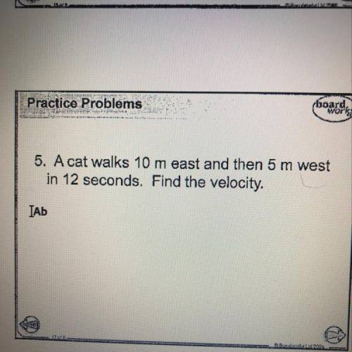 A cat walks 10 m east and then 5 m west in 12 seconds. Find the velocity