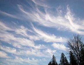 What type of cloud is this an picture of? Select one: a. stratus  b. cumulus  c. cirrus
