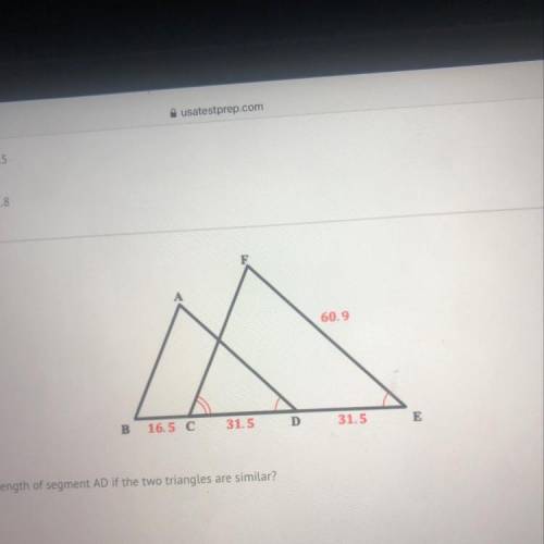 What is the length of segment AD if the two triangles are similar? 46.4 46.6 44.6 64.4