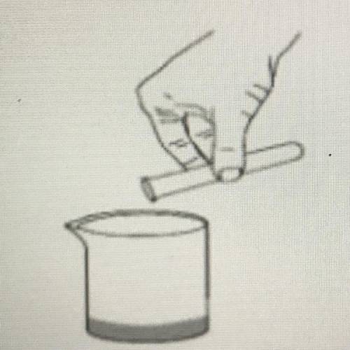 All of the liquid from a test tube is poured into a beaker, as shown in the diagram below. Compared