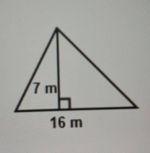 Find the area of the triangle shown below.A. 28 m²B. 56 m²C. 112 m²D. 23 m²