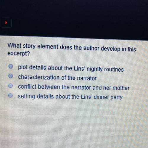 What story element does the author develop in this excerpt? O plot details about the Lins' nightly r