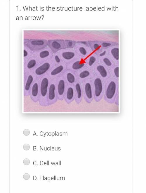 What structure is the cell?