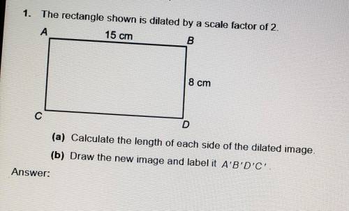 The rectangle shown is dilated by a scale factor of 2. A) Calculate the length of each side of the d