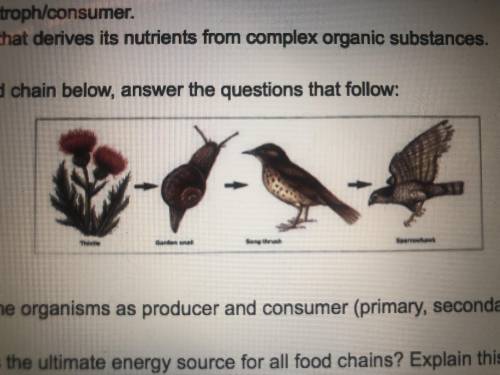 Label the organisms as producer and consumer.