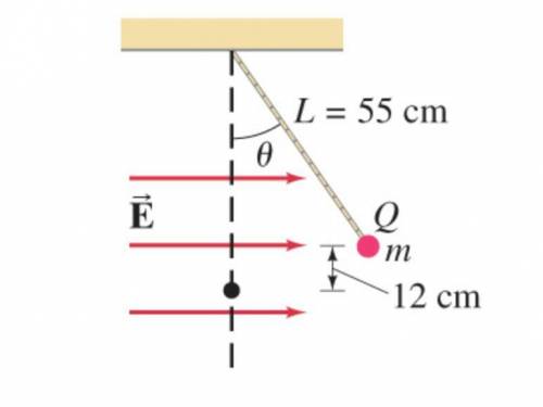 A point charge (m = 2.0 g ) at the end of an insulating string of length 55 cm is observed to be in