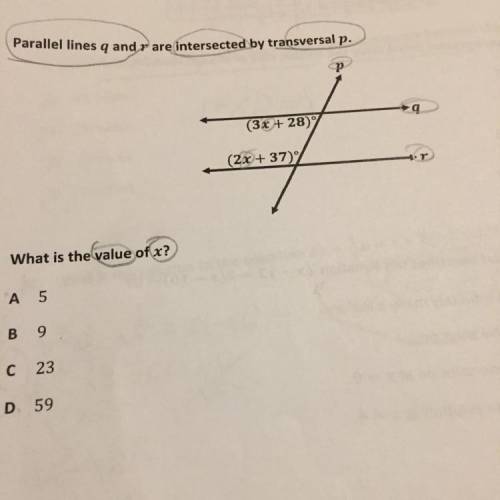 Can someone please help with 24. I will give Brainliest Answer.