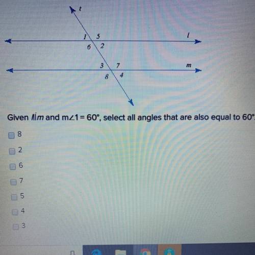 Given Aim and mz1 = 60°, select all angles that are also equal to 60°. PLEASE HELP ME !!!