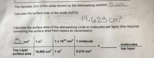 How do calculate the molecules/top layer