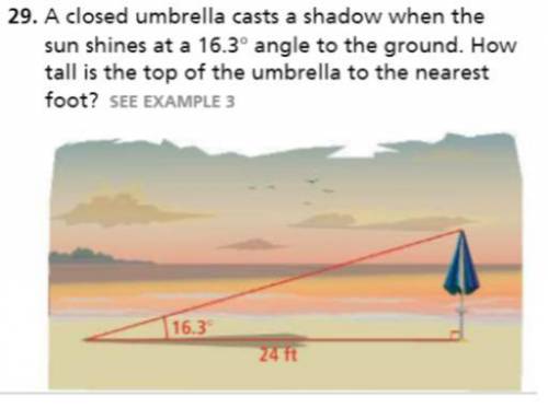 A closed umbrella casts a shadow when the sun shines at a 16.3° angle to the ground. how tall is the