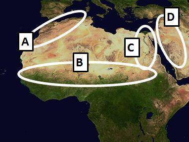 On the map above, which oval circles the Nile River Valley? A. oval A B. oval B C. oval C D. oval D