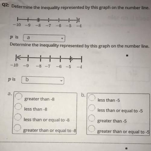 Plz help with this question I do not understand
