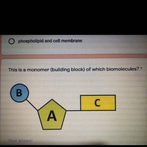 This is a monomer (building block) of which biomolecules