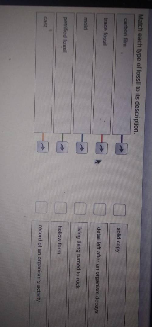 Help plz match each type of fossil to it description