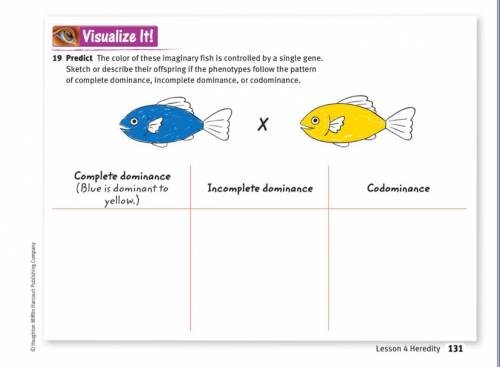 Predict The color of these imaginary fish is controlled by a single gene. Sketch or describe their o