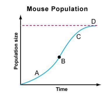 The graph below shows the population of mice in an ecosystem where the mice are not allowed to enter
