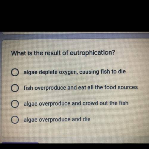 What is the result of eutrophication?