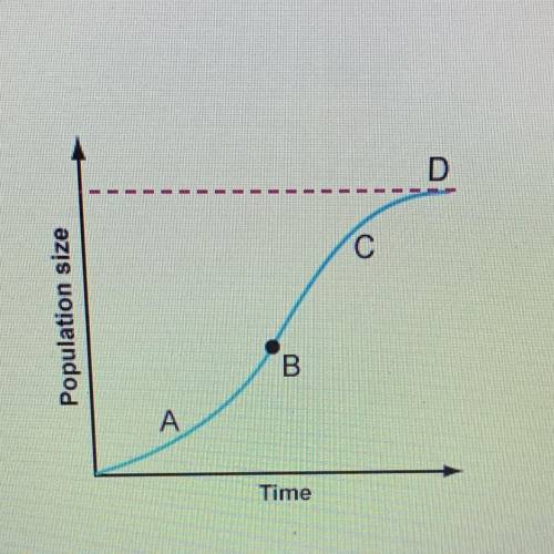 Where is the growth rate slowing down in the graph shown above? O A. Point A B. Point B C. Point D D