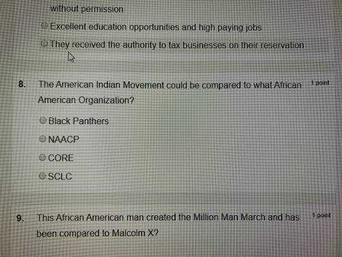 What african american organization can AIM be compared to A) black panthers B) naacp C) core D) sclc