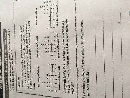 Please help I don’t know the answer ;( for number 1