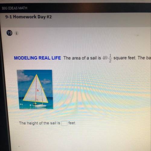 The area of a sail is 40 1/2 square feet. The base and the height of the sail are equal. What is the