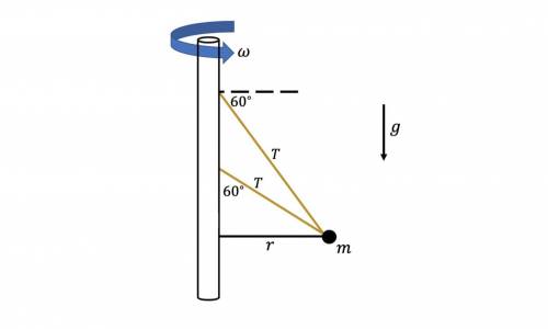 A ball of mass m = 2.0 kg is connected to 2 ropes. The two ropes are connected to a pole that is rot