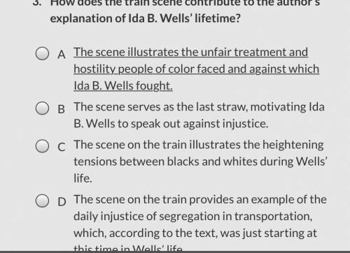 Which of the following statements best describes a central idea of the text ? Ida B Wells