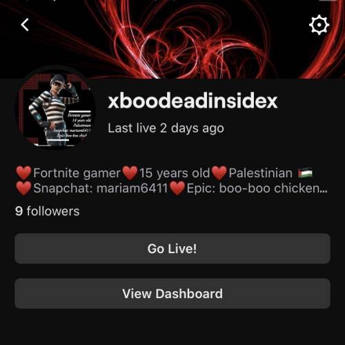 Everyone go follow my twitch I stream everyday when I can but yeah make me big plz my wish for my bd