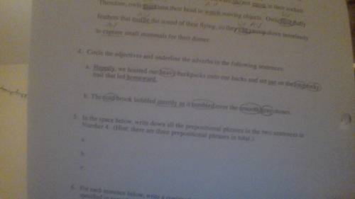 I need help with number 5.