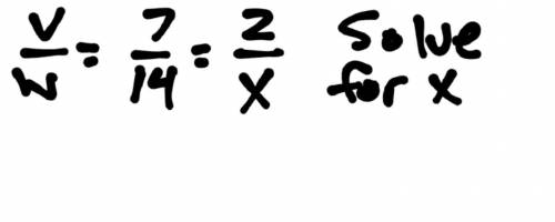 Two variables, v and w, are inversely PROPORTIONAL such that when v= 7, w= 14. What is the value of