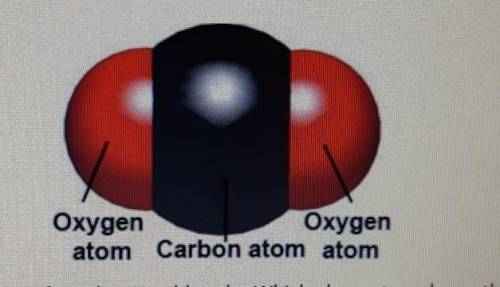 HELP ASAP  Based on the following image, what is the chemical formula of the compoundrepresented?Oxy