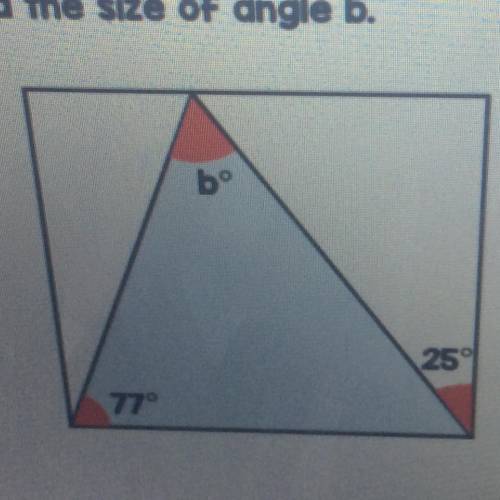 Find the size of angle b.