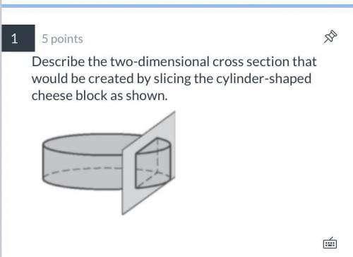 Describe the two-dimensional cross section that would be created by slicing the cylinder-shaped chee