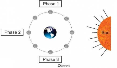 The diagram below shows three phases of the moon. Which of these models best represents Phase 2 of t