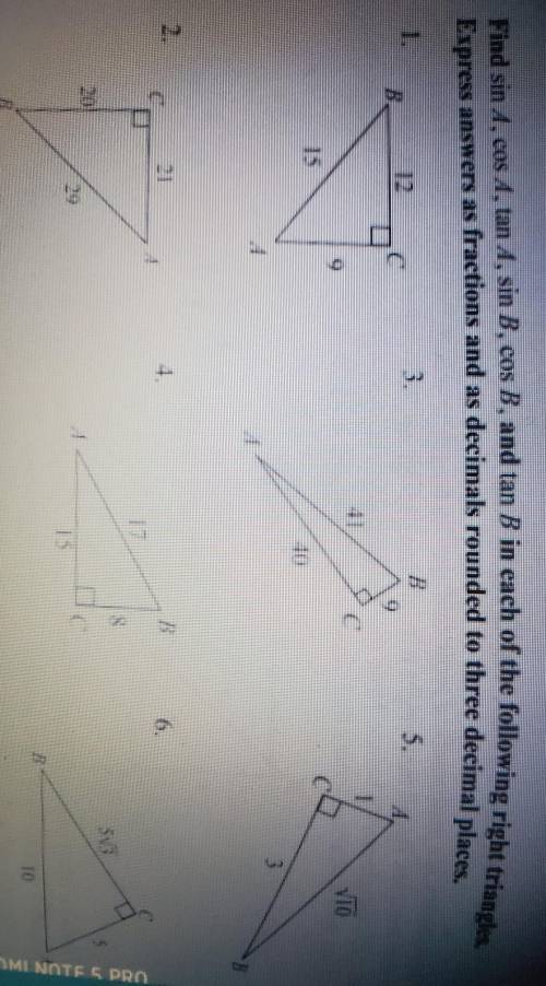 I really need help with this :/