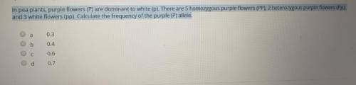 What would be the frequency of the purple (P) allele