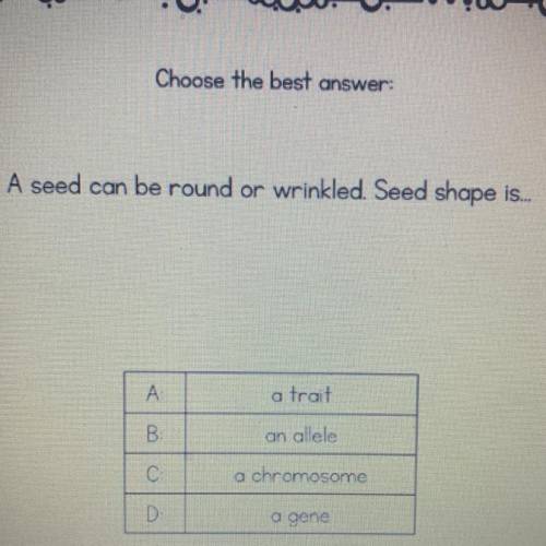 A seed can be round or wrinkled. Seed shape is... A. A trait B. An allele C. A chromosome  D. A gene