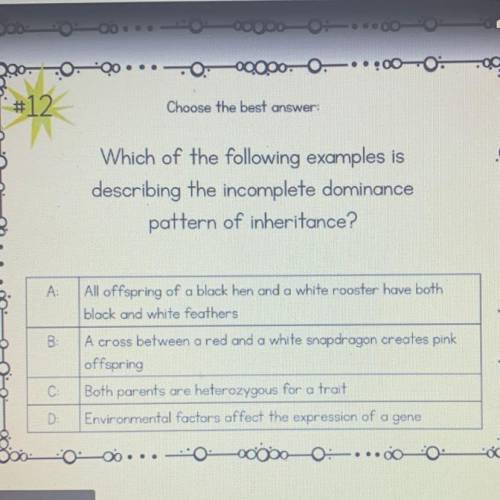 #12 choose the best answer.