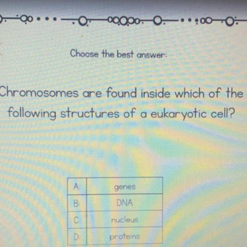 #18 choose the best answer
