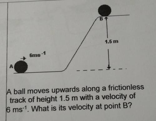 A ball moves upwards along a frictionlesstrack of height 1.5 m with a velocity of6 ms-1. What is its