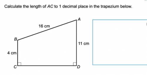 Calculate the missing measure of the line?