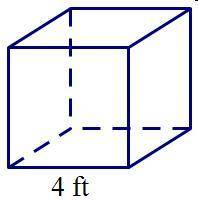 Find the volume of the cube.