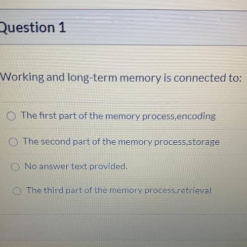 Working and long term memory is connected to